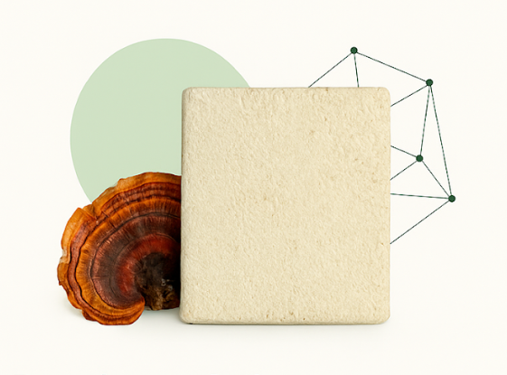 Panel acústico de micelio